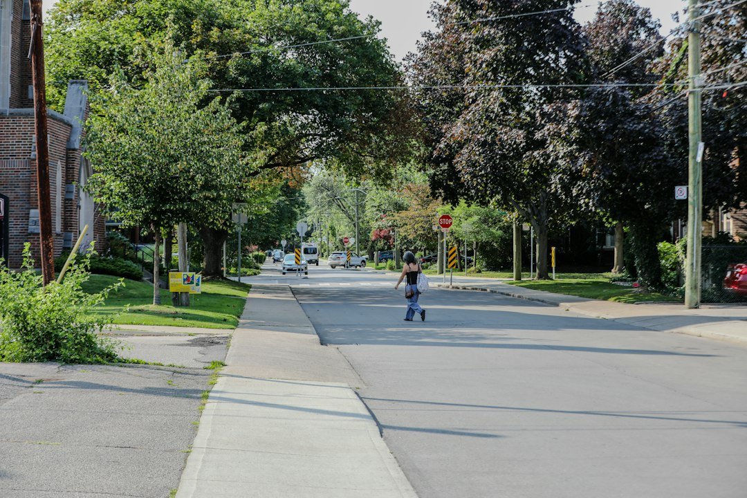 A person crosses a tree-lined street with a sidewalk