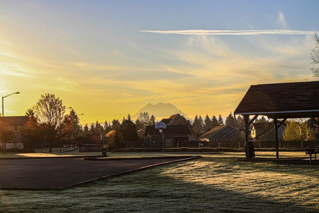 a park with a gazebo in the foreground and houses in the background