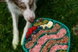 7 Signs Your Dog Needs More Mental Stimulation